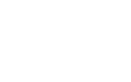 PN Logo Blanc Petit